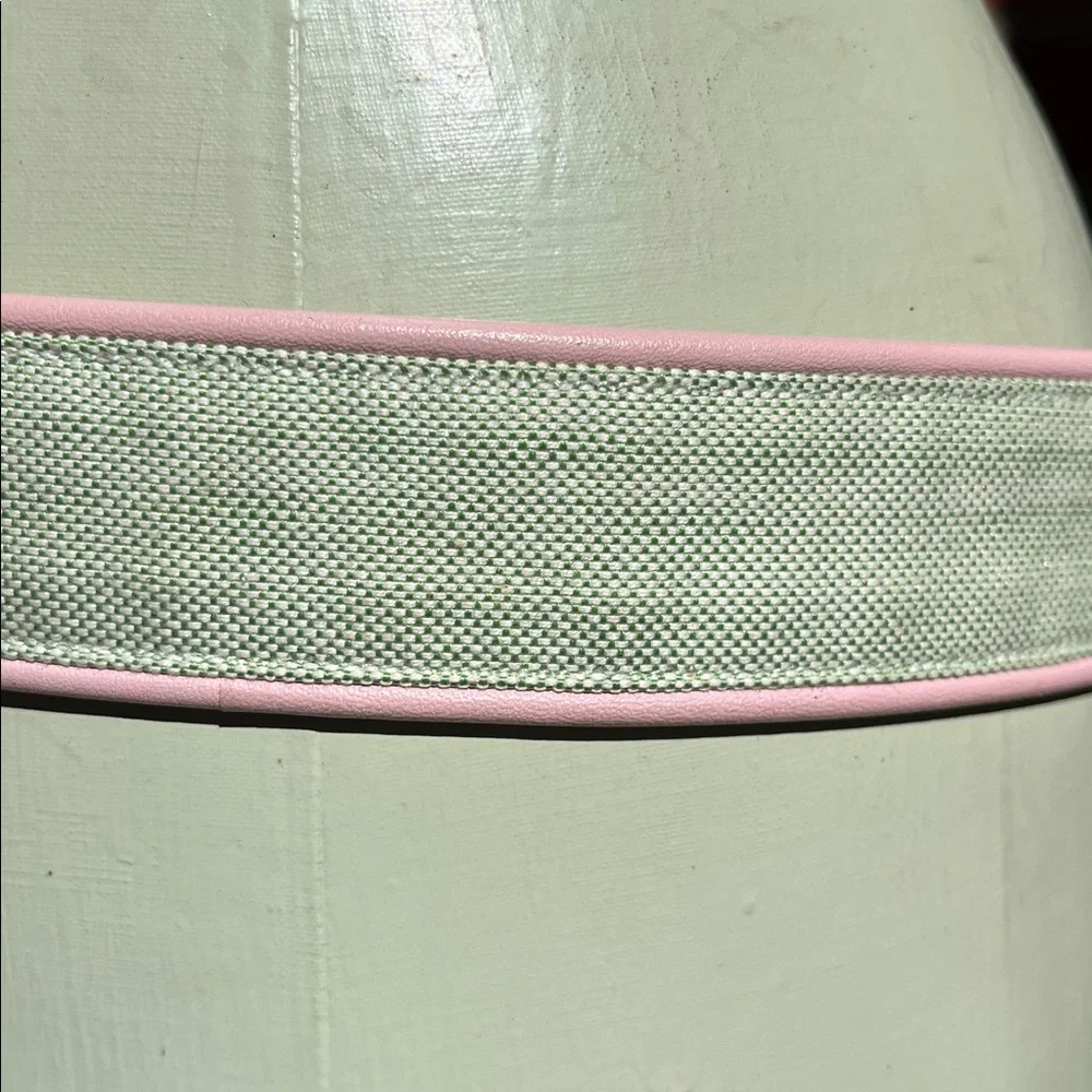 Lily Pulitzer Pastel Green & Pink Canvas Belt with Gold Floral Buckle size small - Picture 3 of 4